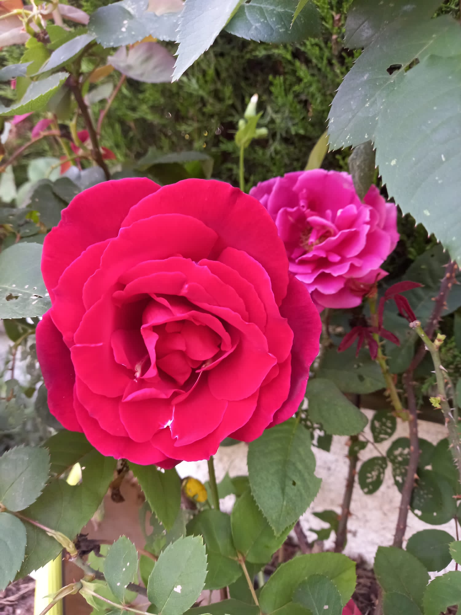 Foto von marieta(29)